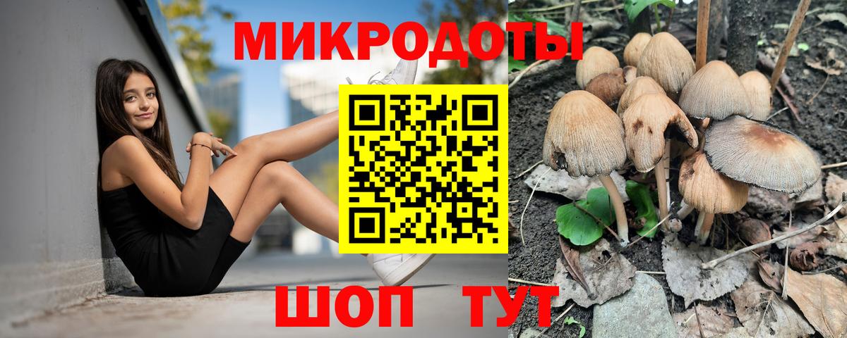 Галлюциногенные грибы ЛСД Каменск-Уральский